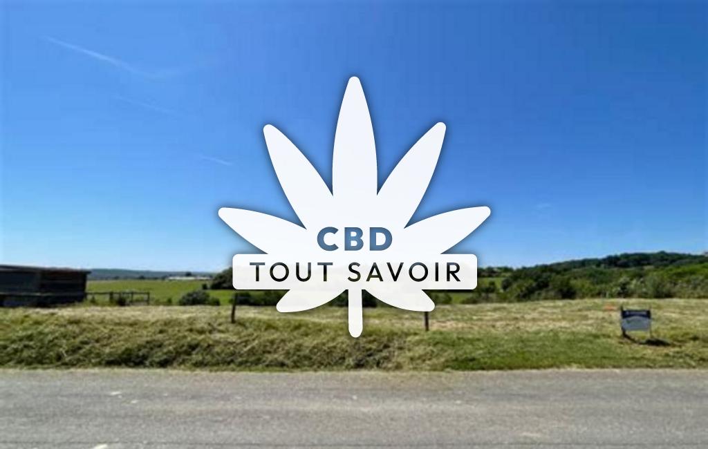 Village à Aux-Aussat avec feuille Cannabis CBD