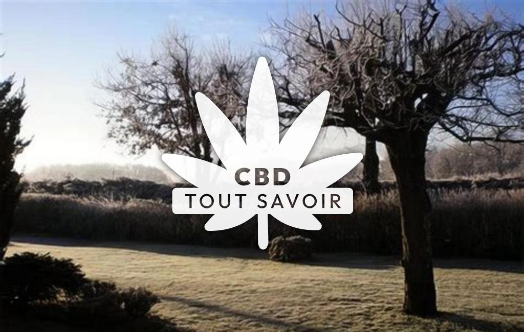 Village à Manas-Bastanous avec feuille Cannabis CBD