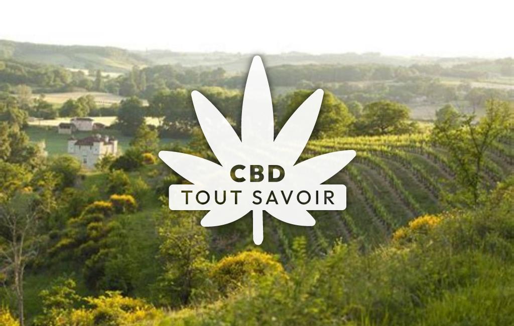 Village à Saint-Jean-Poutge avec feuille Cannabis CBD