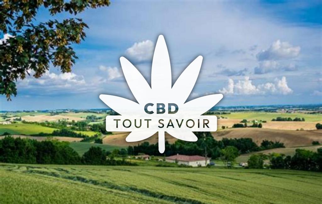 Village à Saint-Paul-de-Baise avec feuille Cannabis CBD