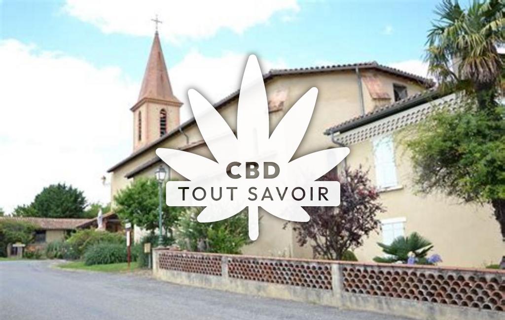 Village à Puylausic avec feuille Cannabis CBD