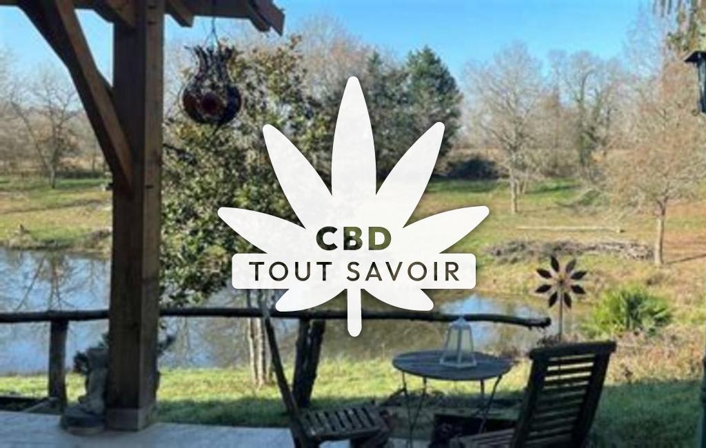 Village à Armous-Et-Cau avec feuille Cannabis CBD