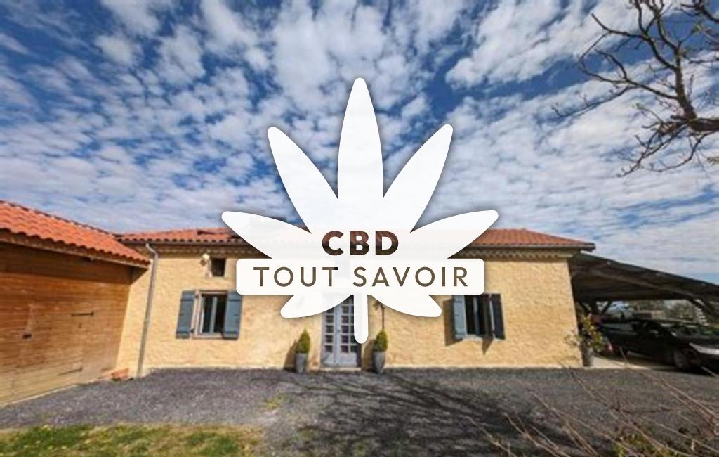 Village à Pallanne avec feuille Cannabis CBD