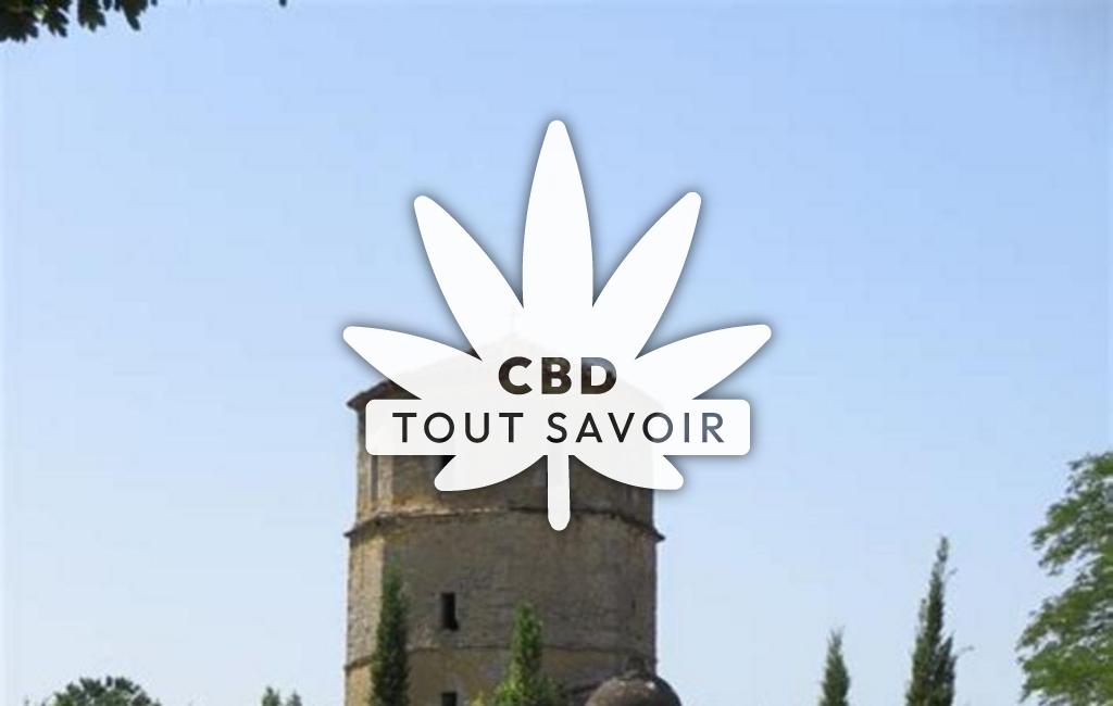 Village à Mauleon-D'Armagnac avec feuille Cannabis CBD
