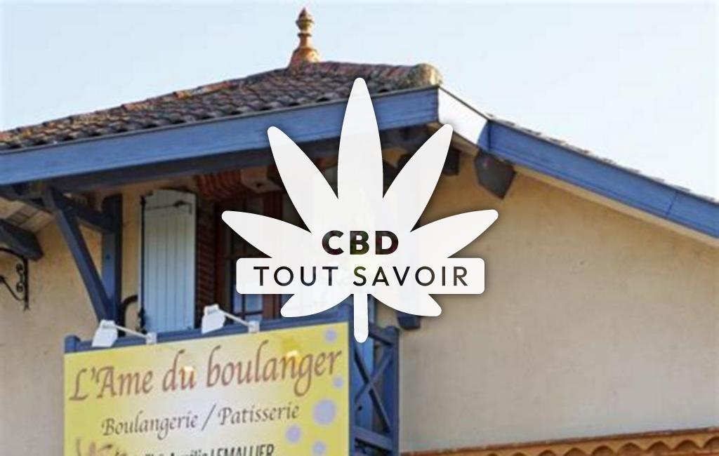 Village à Monguilhem avec feuille Cannabis CBD