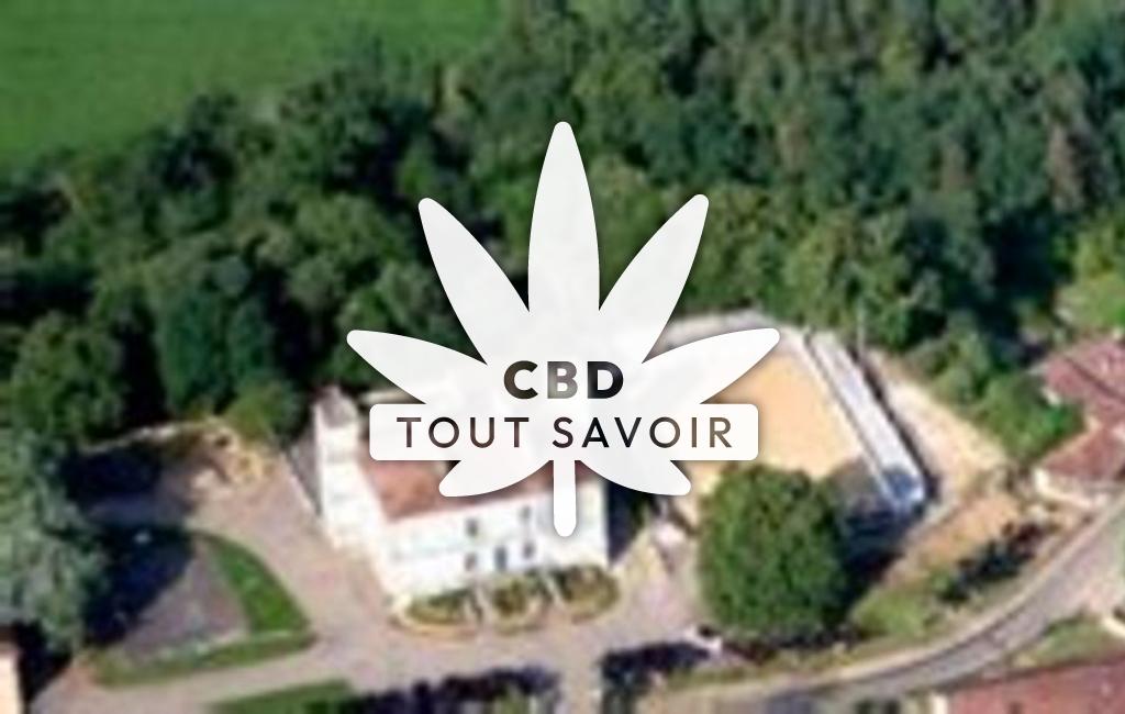 Village à Monlezun-D'Armagnac avec feuille Cannabis CBD