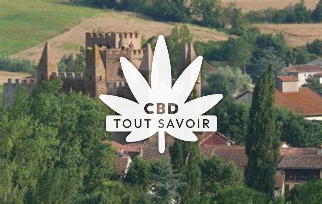 Village à Moncorneil-Grazan avec feuille Cannabis CBD