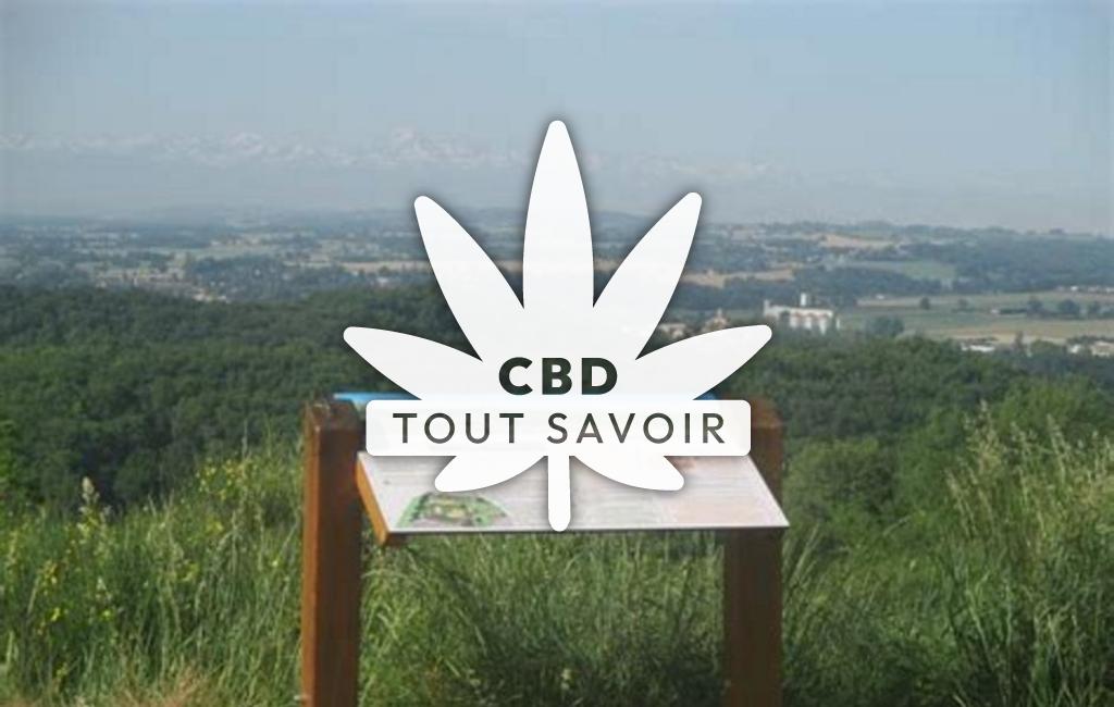 Village à Pouy-Loubrin avec feuille Cannabis CBD