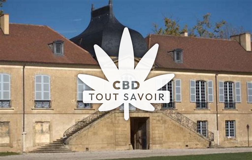 Village à L'Isle-de-Noe avec feuille Cannabis CBD