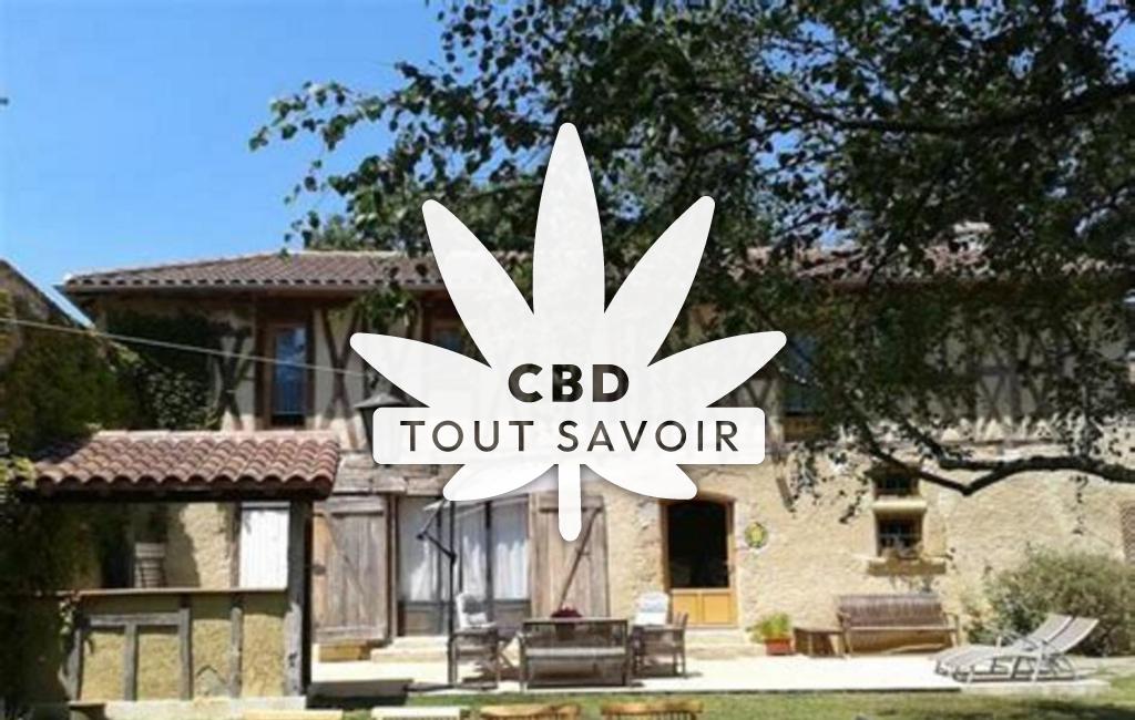 Village à Miramont-D'Astarac avec feuille Cannabis CBD