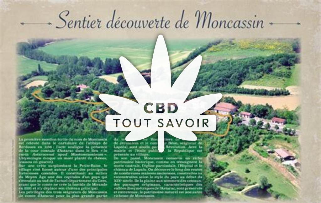 Village à Moncassin avec feuille Cannabis CBD
