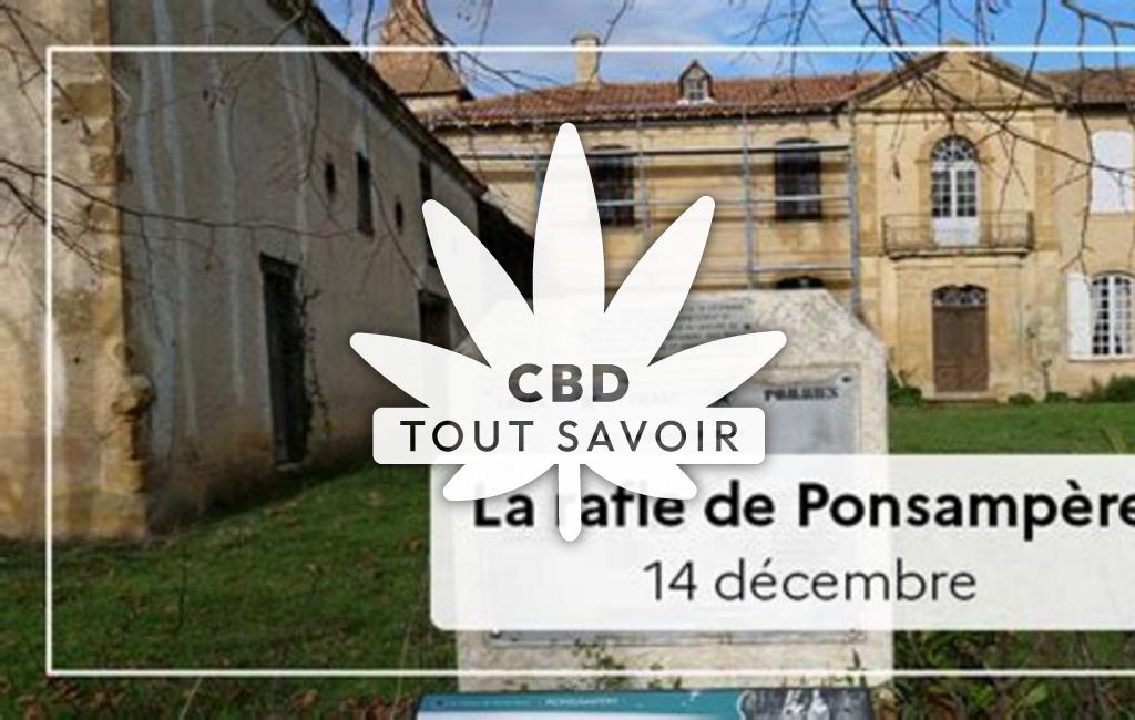 Village à Ponsampere avec feuille Cannabis CBD