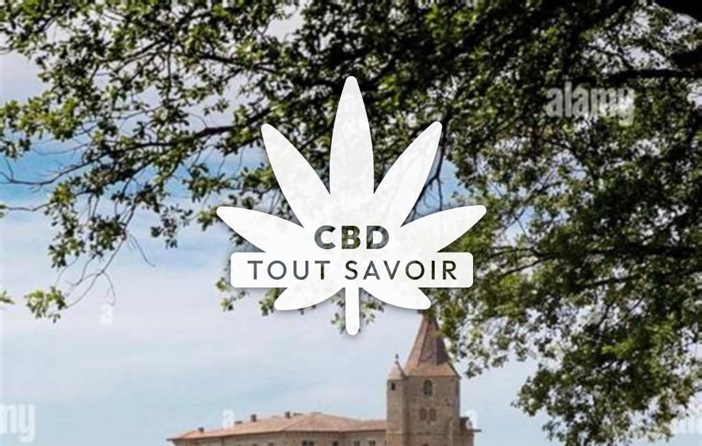 Village à Saint-Michel avec feuille Cannabis CBD