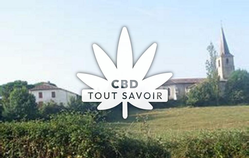 Village à Sainte-Aurence-Cazaux avec feuille Cannabis CBD