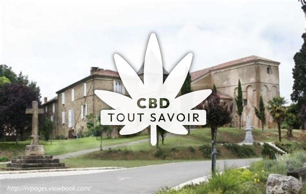 Village à Peyrusse-Grande avec feuille Cannabis CBD