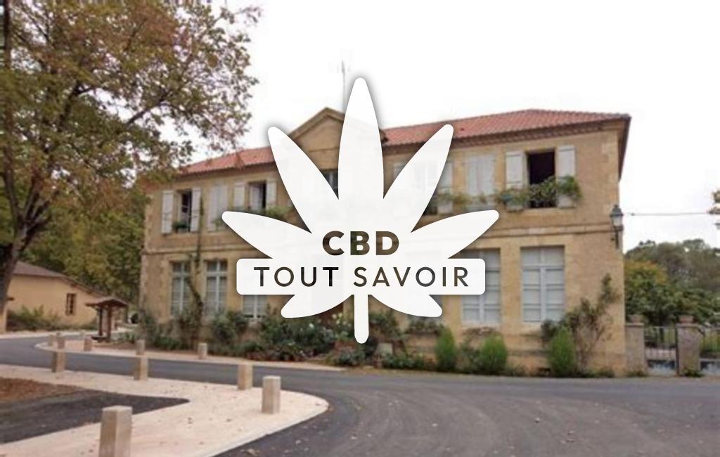 Village à Riguepeu avec feuille Cannabis CBD