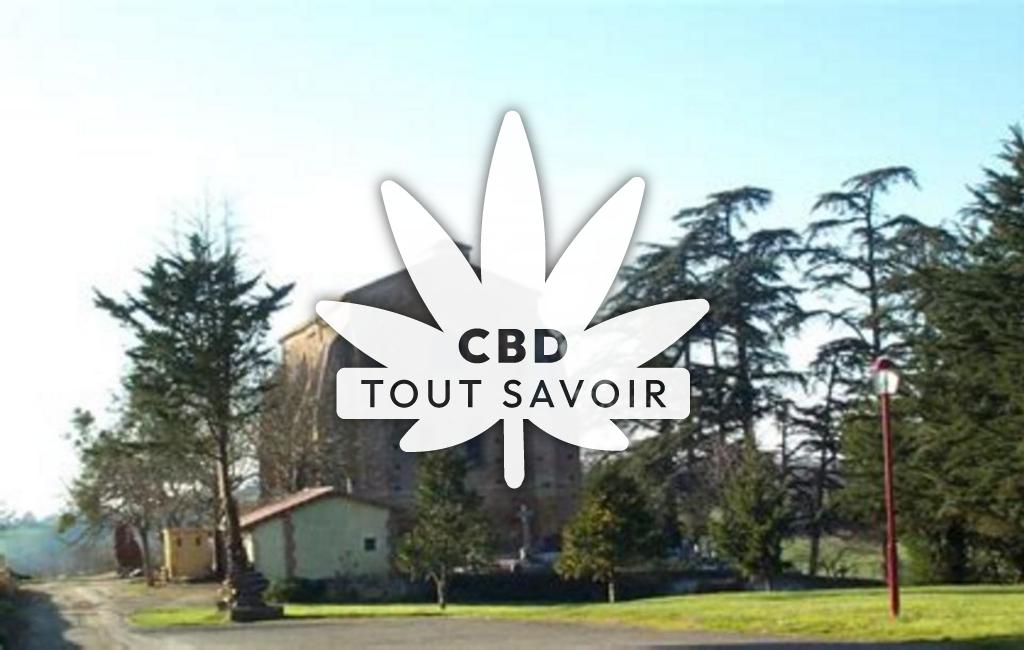 Village à Saint-Christaud avec feuille Cannabis CBD