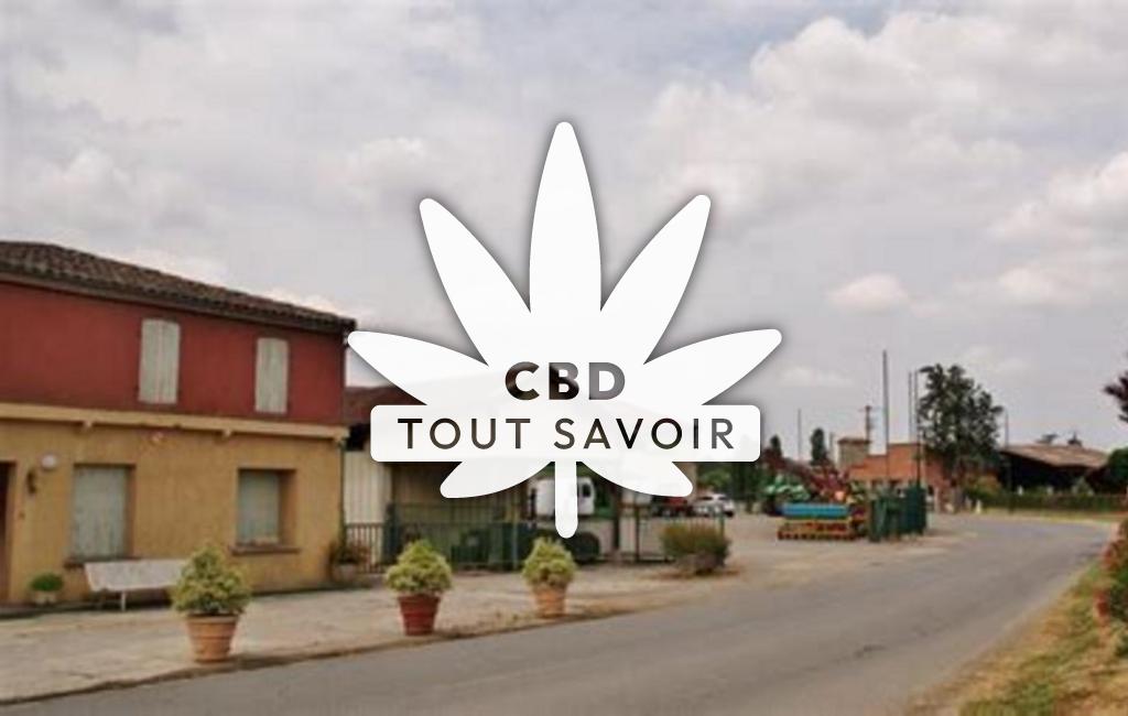 Village à Peyrecave avec feuille Cannabis CBD