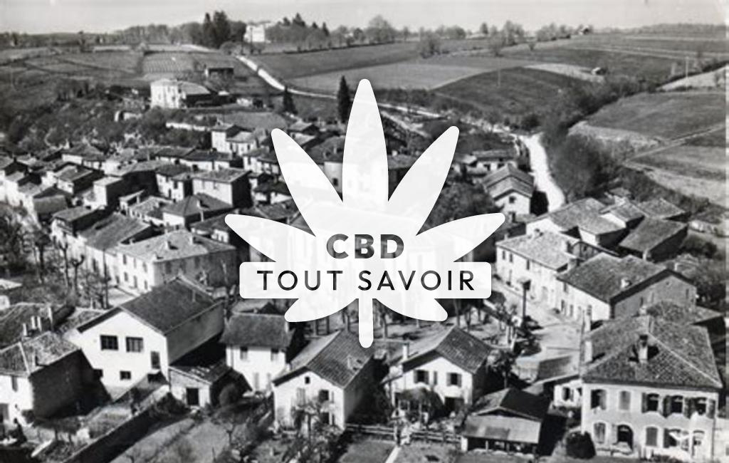 Village à Montestruc-sur-Gers avec feuille Cannabis CBD