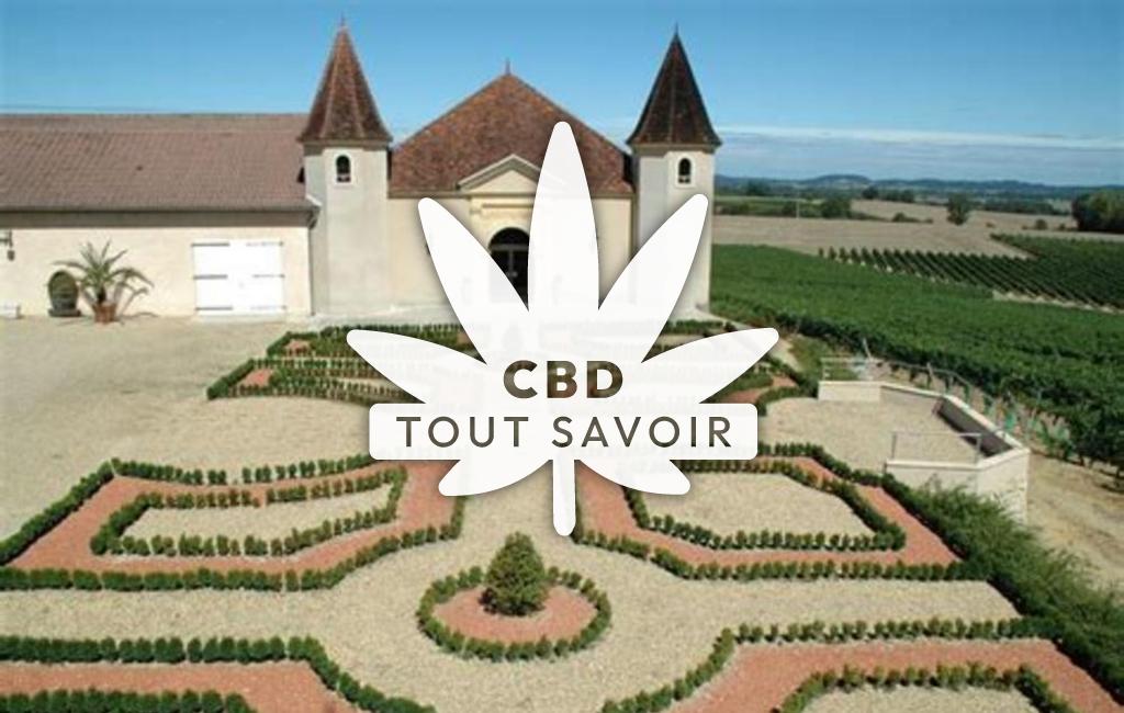 Village à Maumusson-Laguian avec feuille Cannabis CBD