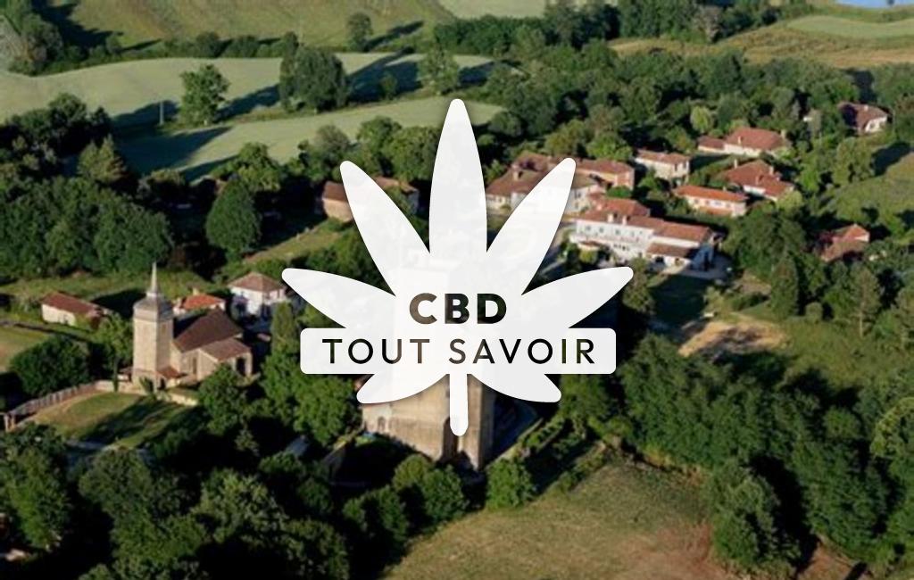 Village à Termes-D'Armagnac avec feuille Cannabis CBD