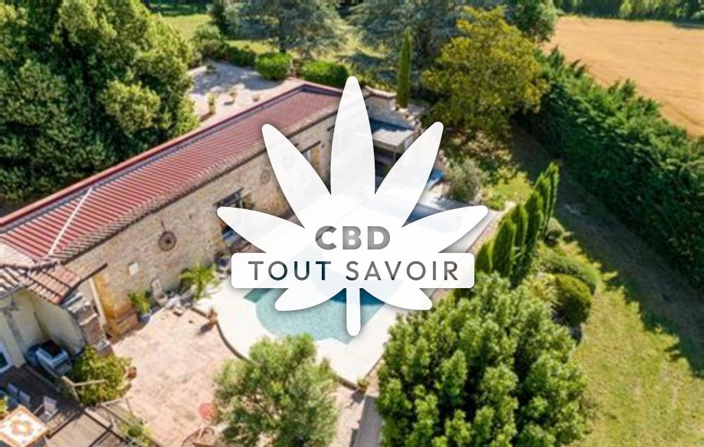 Village à Sabaillan avec feuille Cannabis CBD