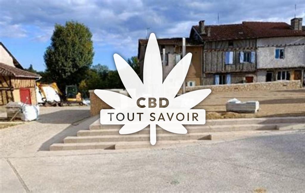 Village à CaSaintelnau-D'Auzan-Labarrere avec feuille Cannabis CBD