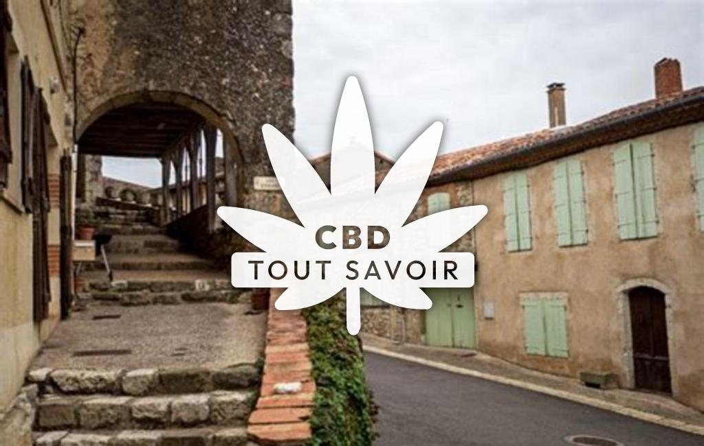 Village à CaSaintelnau-Barbarens avec feuille Cannabis CBD