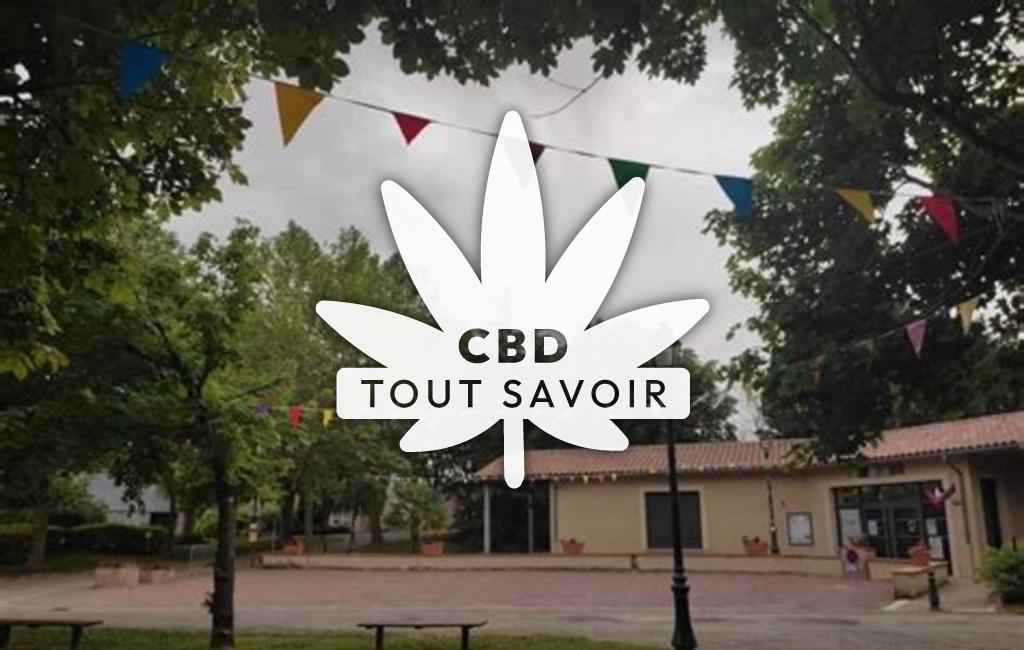 Village à Saint-Elix-D'Astarac avec feuille Cannabis CBD