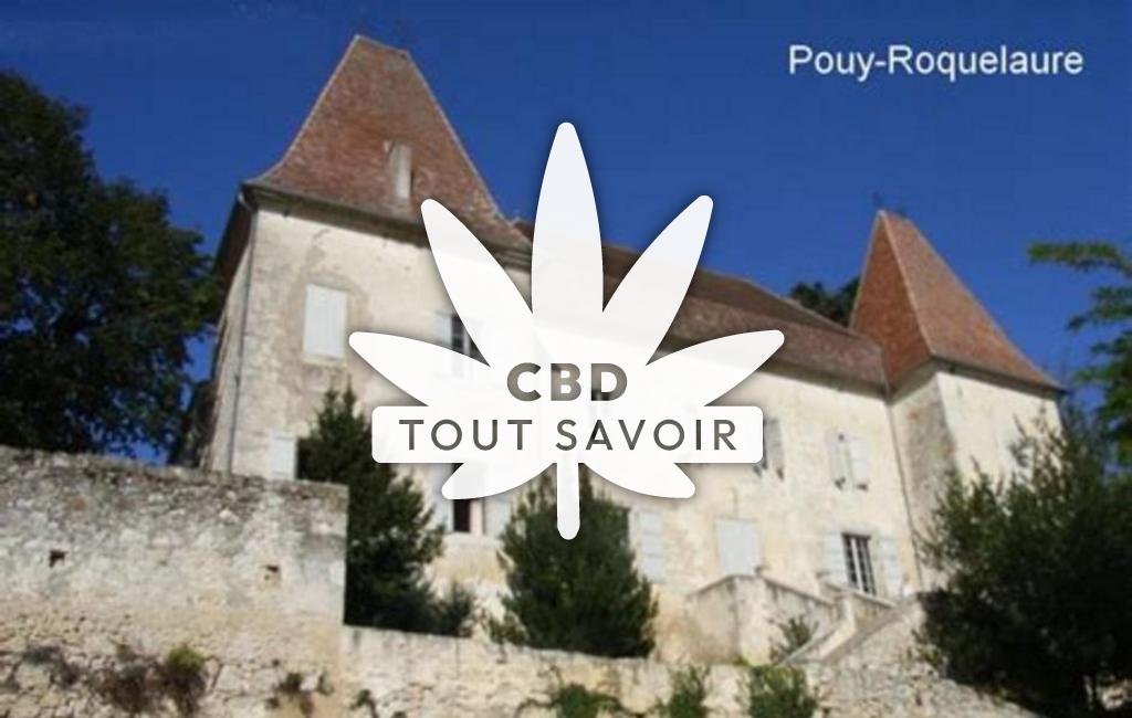 Village à Pouy-Roquelaure avec feuille Cannabis CBD