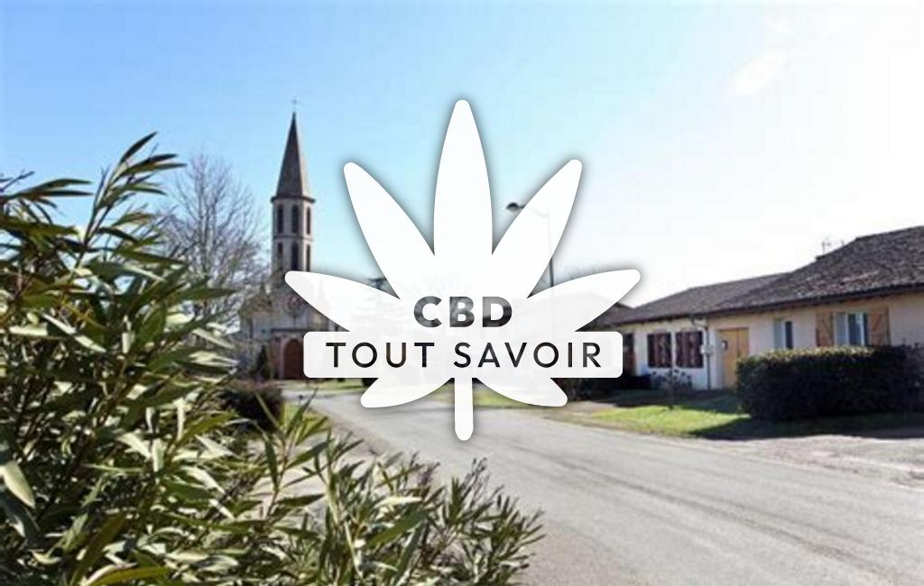 Village à Marestaing avec feuille Cannabis CBD