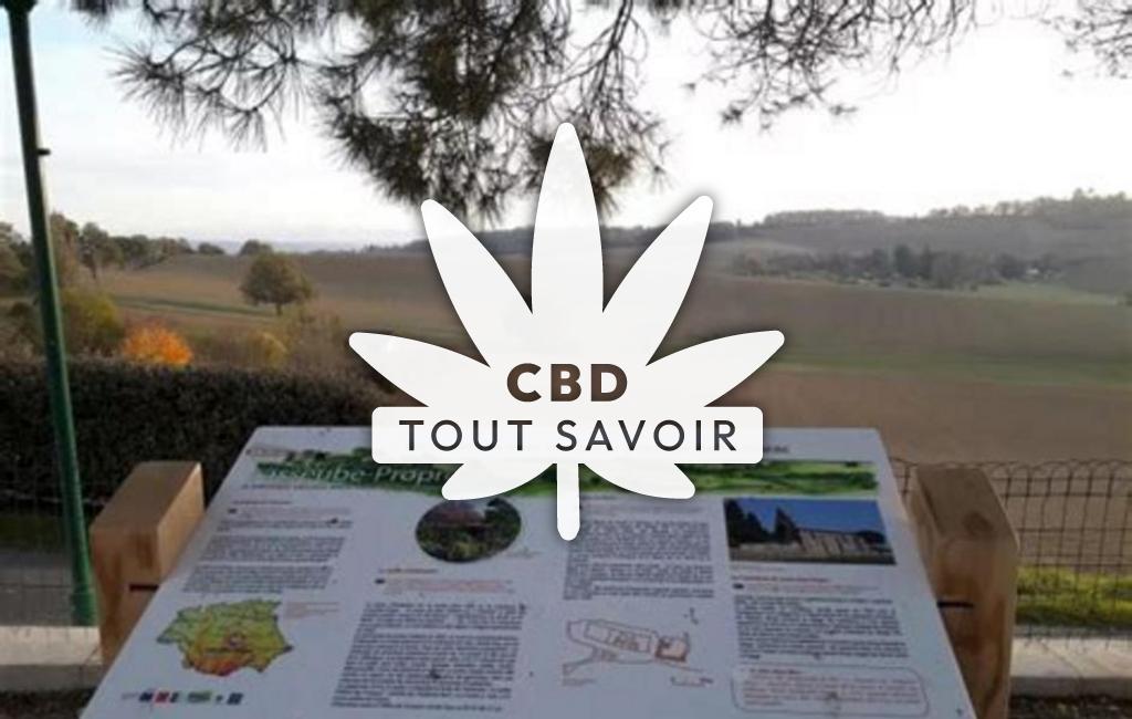 Village à Lasseube-Propre avec feuille Cannabis CBD
