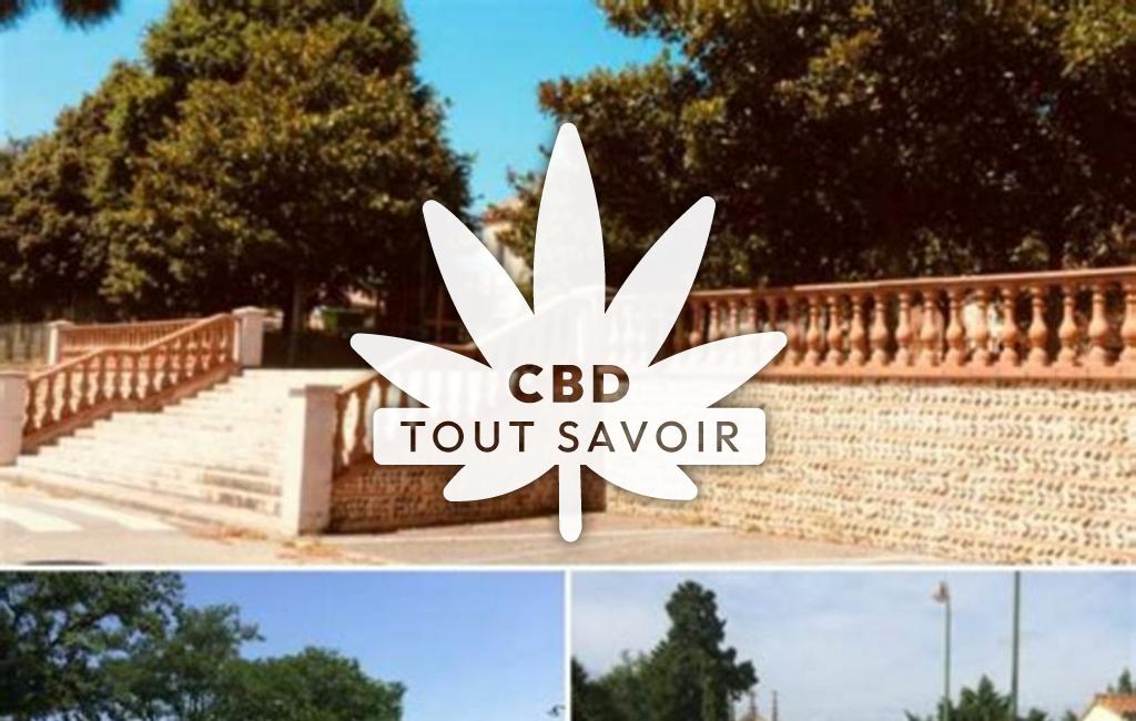 Village à Pujaudran avec feuille Cannabis CBD