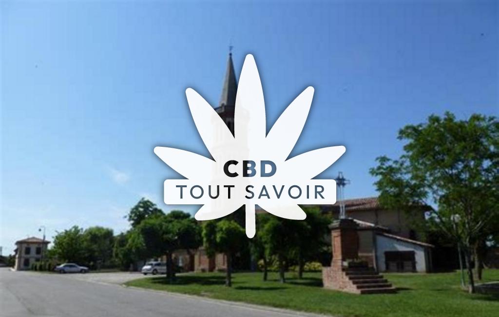 Village à Segoufielle avec feuille Cannabis CBD