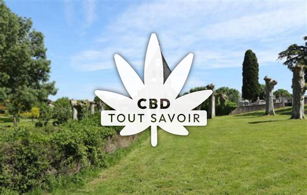 Village à Bajonnette avec feuille Cannabis CBD