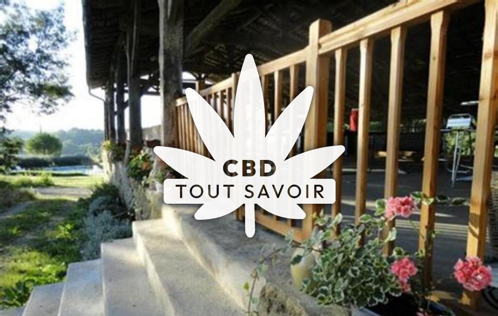 Village à Sainte-Gemme avec feuille Cannabis CBD
