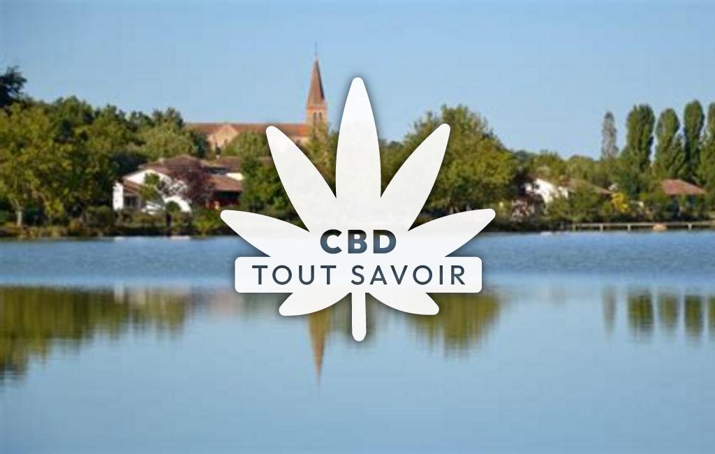 Village à Samaran avec feuille Cannabis CBD