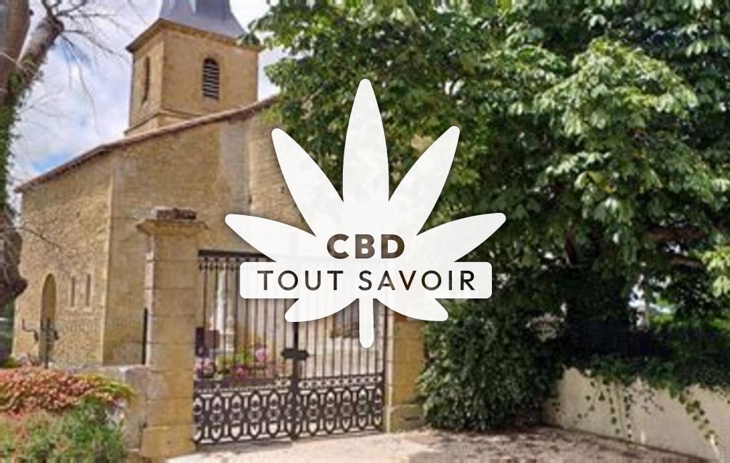 Village à Peyrusse-Vieille avec feuille Cannabis CBD