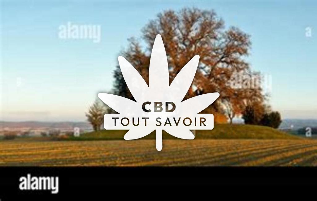 Village à Saint-Elix-Theux avec feuille Cannabis CBD