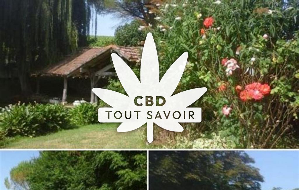 Village à Bezolles avec feuille Cannabis CBD