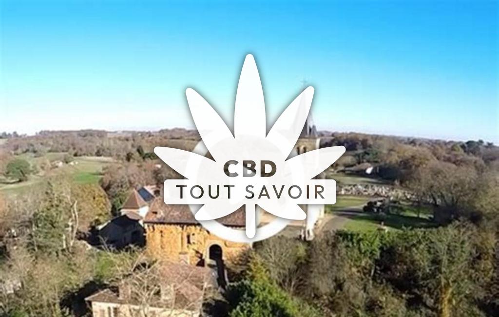 Village à Sainte-Christie-D'Armagnac avec feuille Cannabis CBD