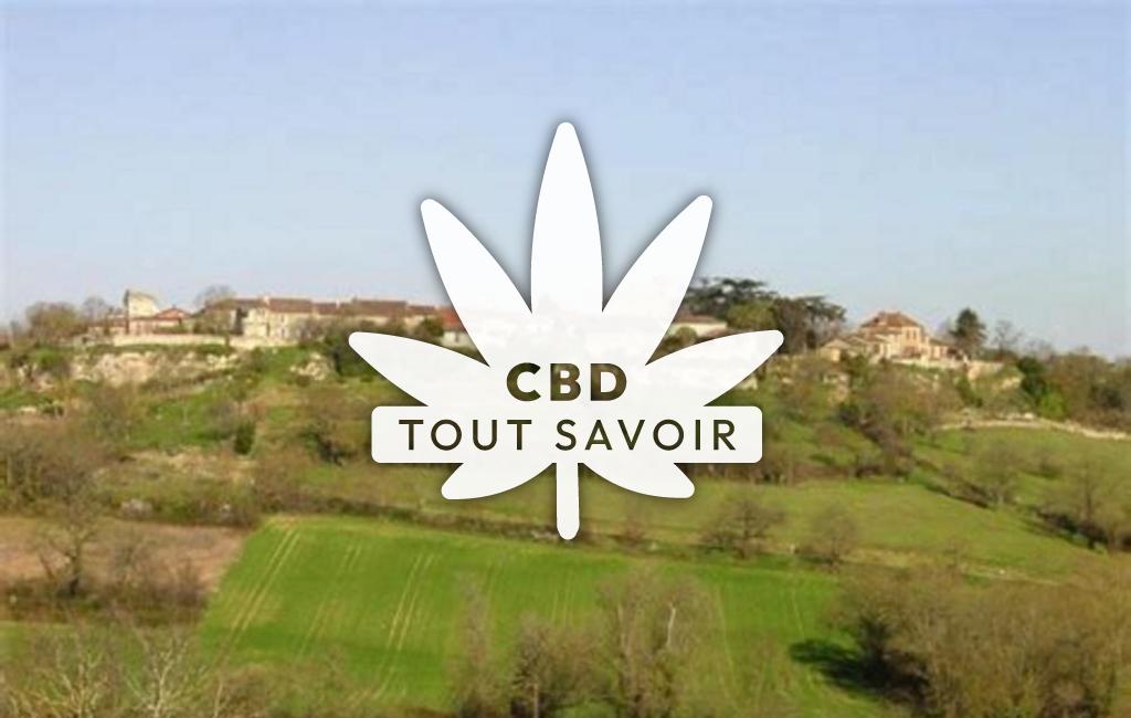 Village à L'Isle-Bouzon avec feuille Cannabis CBD