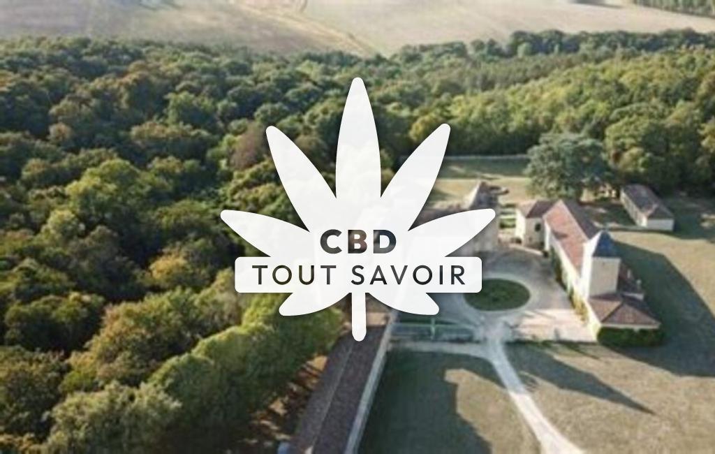 Village à Magnas avec feuille Cannabis CBD