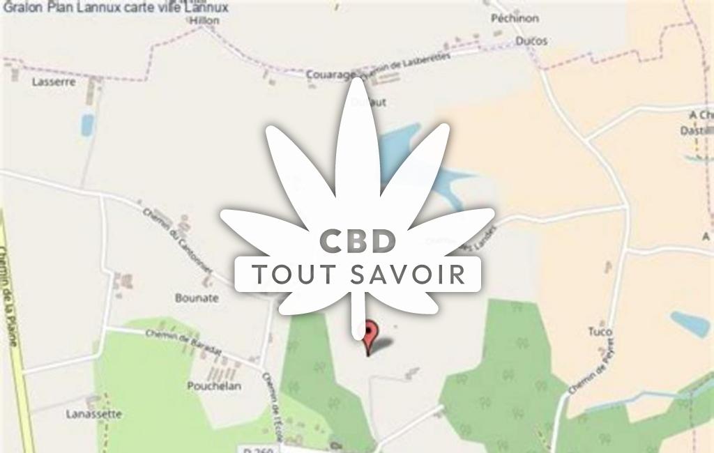 Village à Lannux avec feuille Cannabis CBD