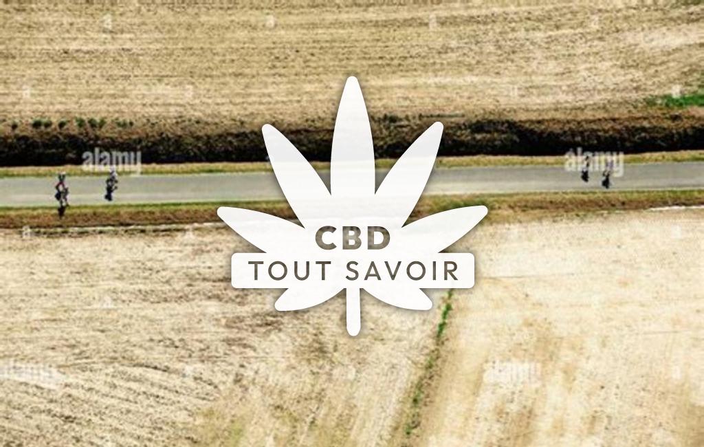 Village à Lelin-Lapujolle avec feuille Cannabis CBD