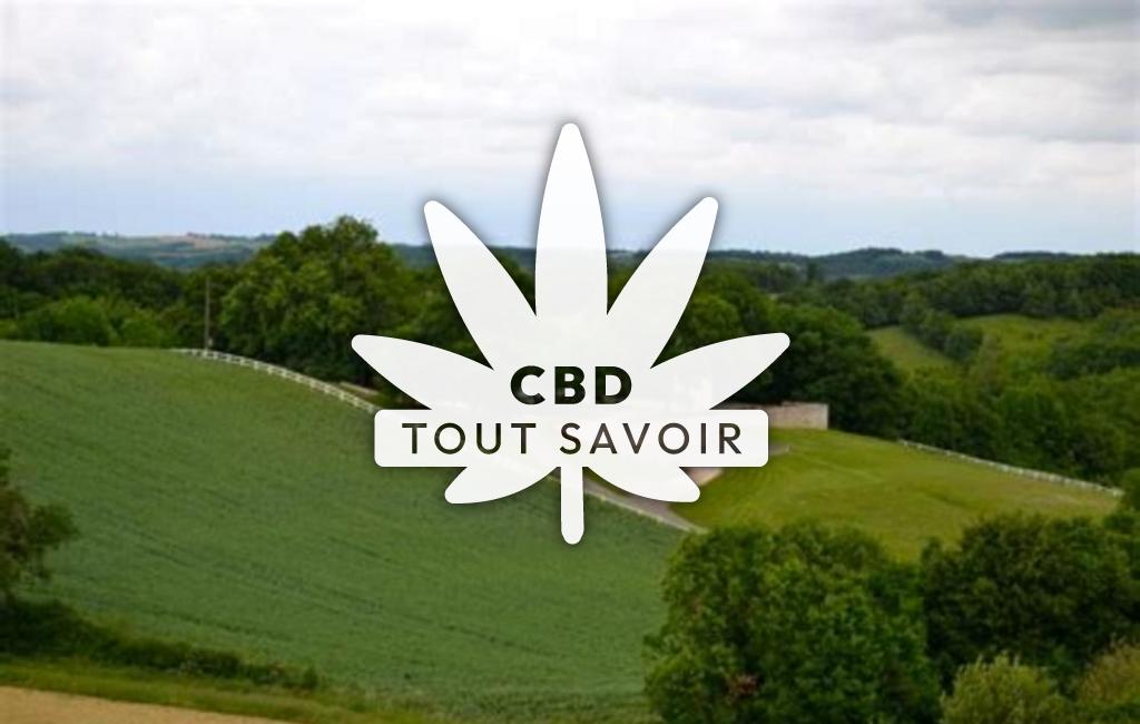 Village à Meilhan avec feuille Cannabis CBD