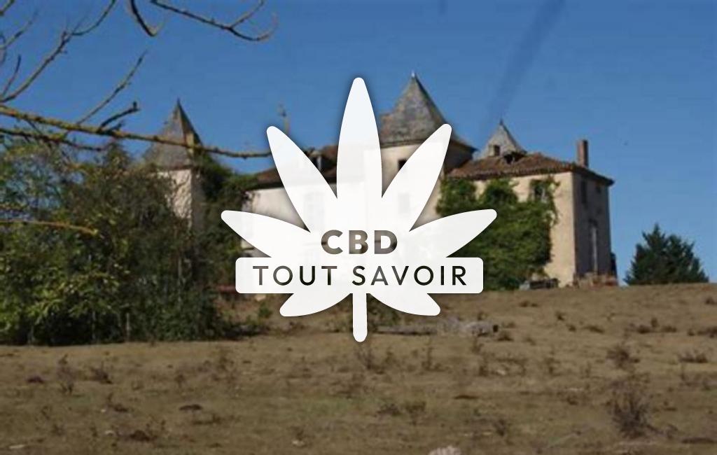Village à Monbardon avec feuille Cannabis CBD
