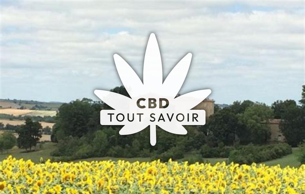 Village à La-Sauvetat avec feuille Cannabis CBD