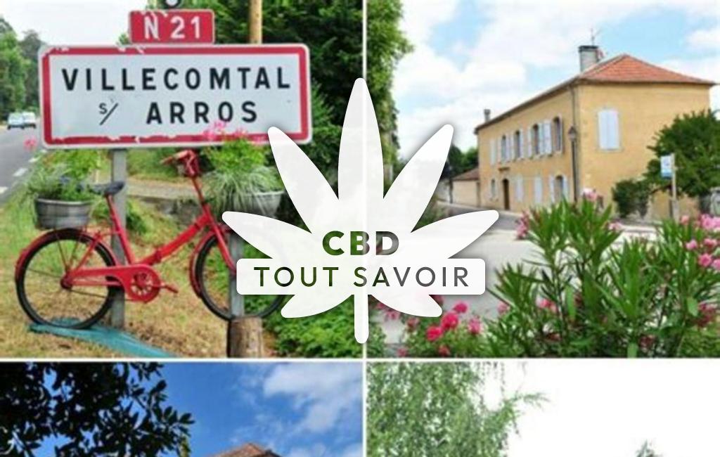 Village à Villecomtal-sur-Arros avec feuille Cannabis CBD