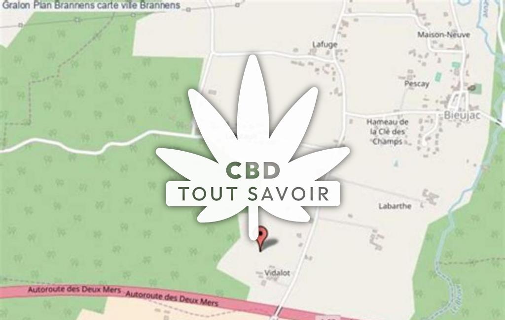 Village à Brannens avec feuille Cannabis CBD